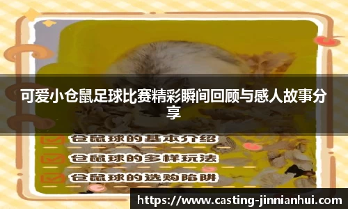 可爱小仓鼠足球比赛精彩瞬间回顾与感人故事分享